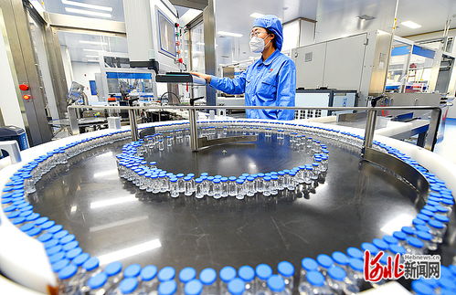 衡水新闻网 技术驱动下的软件开发与市场销售新篇章